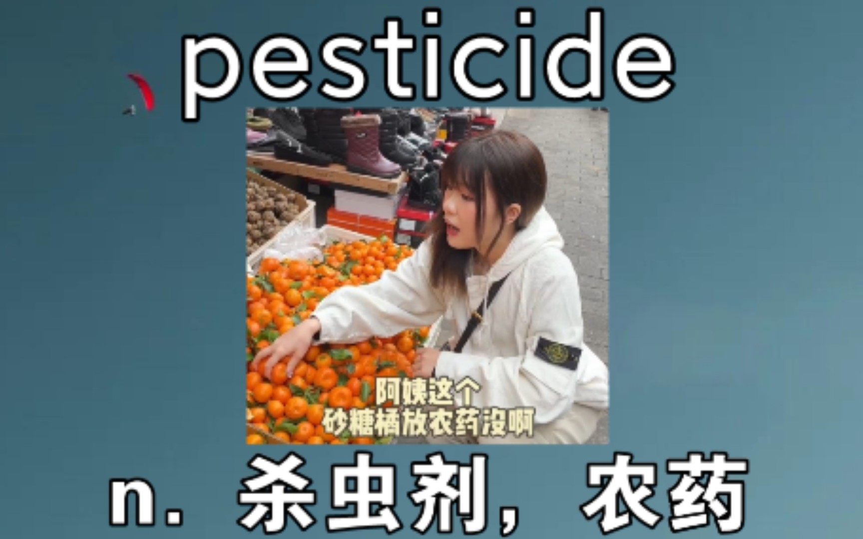 [六级+考研] pesticide:n. 农药,杀虫剂 《想吃自己回去放》哔哩哔哩bilibili