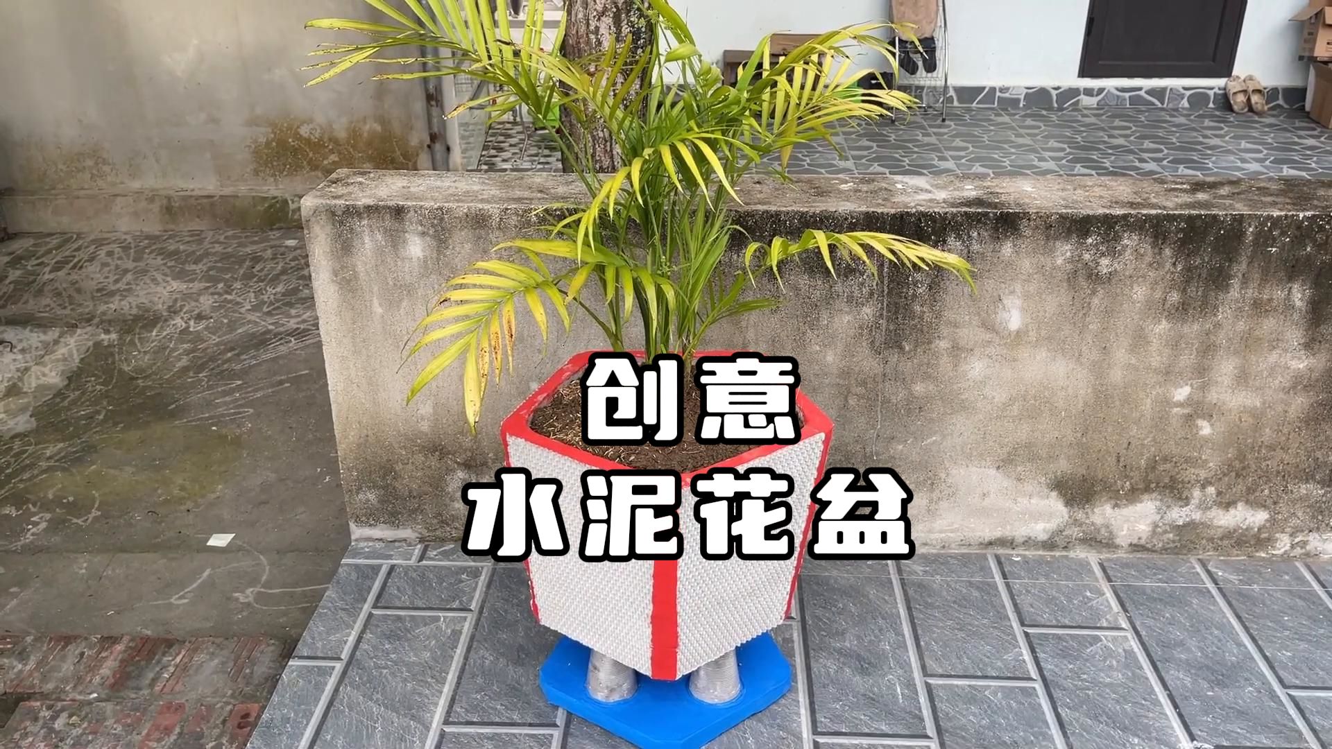 小伙竟在用水果垫制作出一个独特的水泥花盆,设计独特创意十足