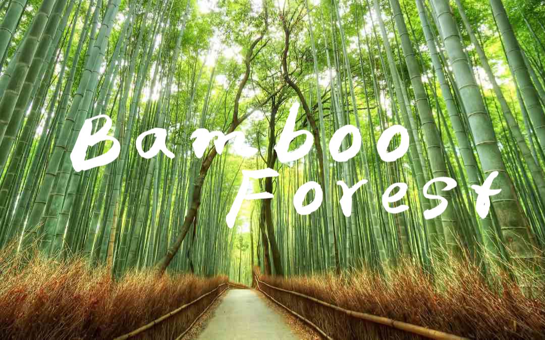 [图]【京胡】Bamboo Forest