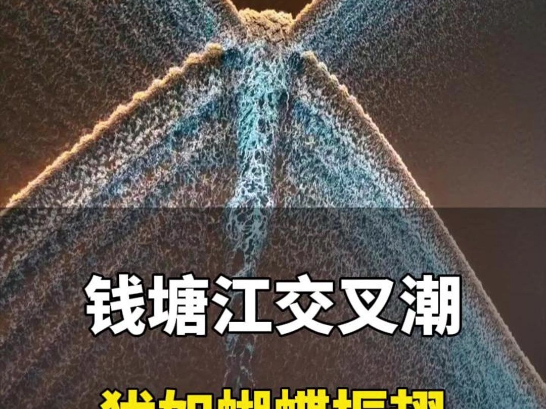 被钱塘江大潮交叉潮惊艳到了,潮水起伏犹如蝴蝶振翅