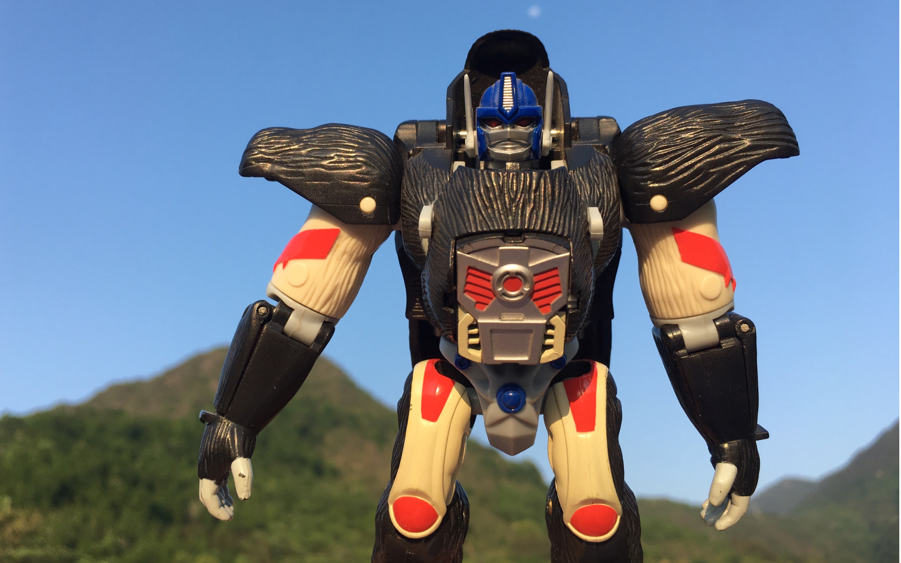 bw超能勇士 rm11猩猩将军 小猩猩