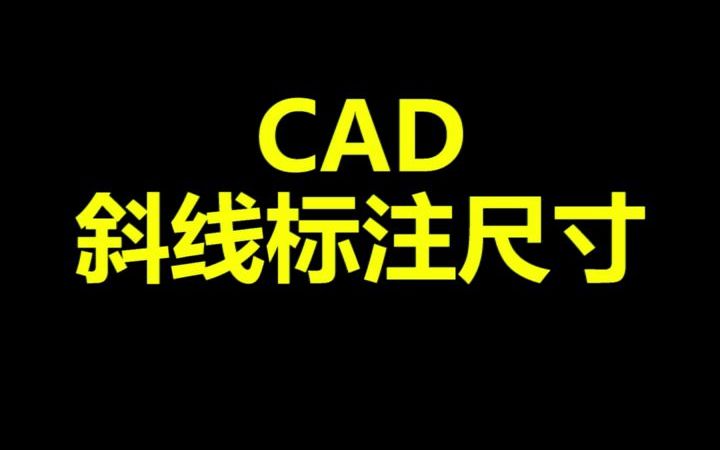 CAD斜线标注尺寸哔哩哔哩bilibili