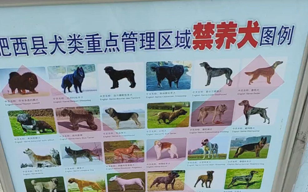 [图]寻血猎犬已被禁用