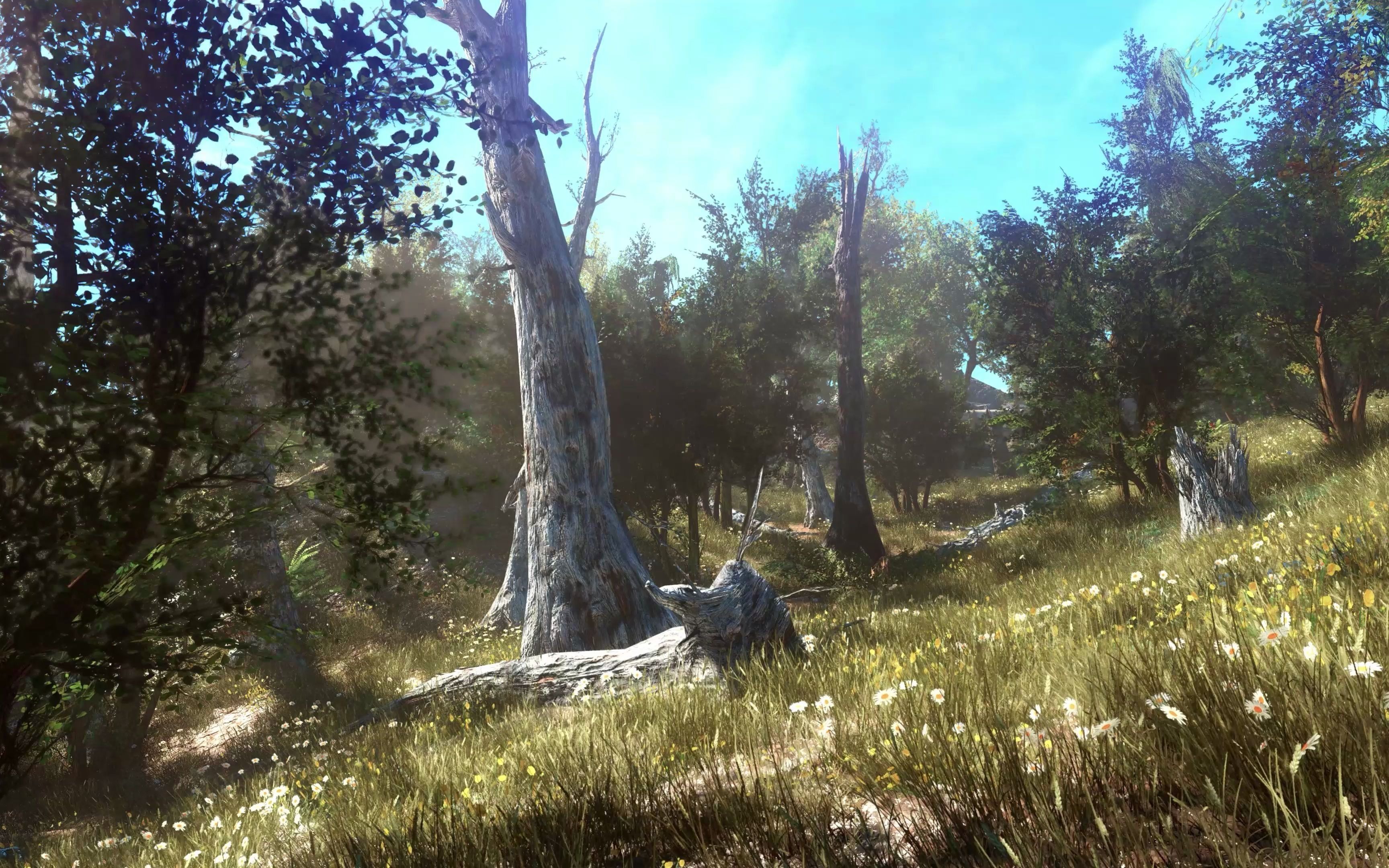 【4k-辐射4】极致画质-图形演示-resurrection forest edition