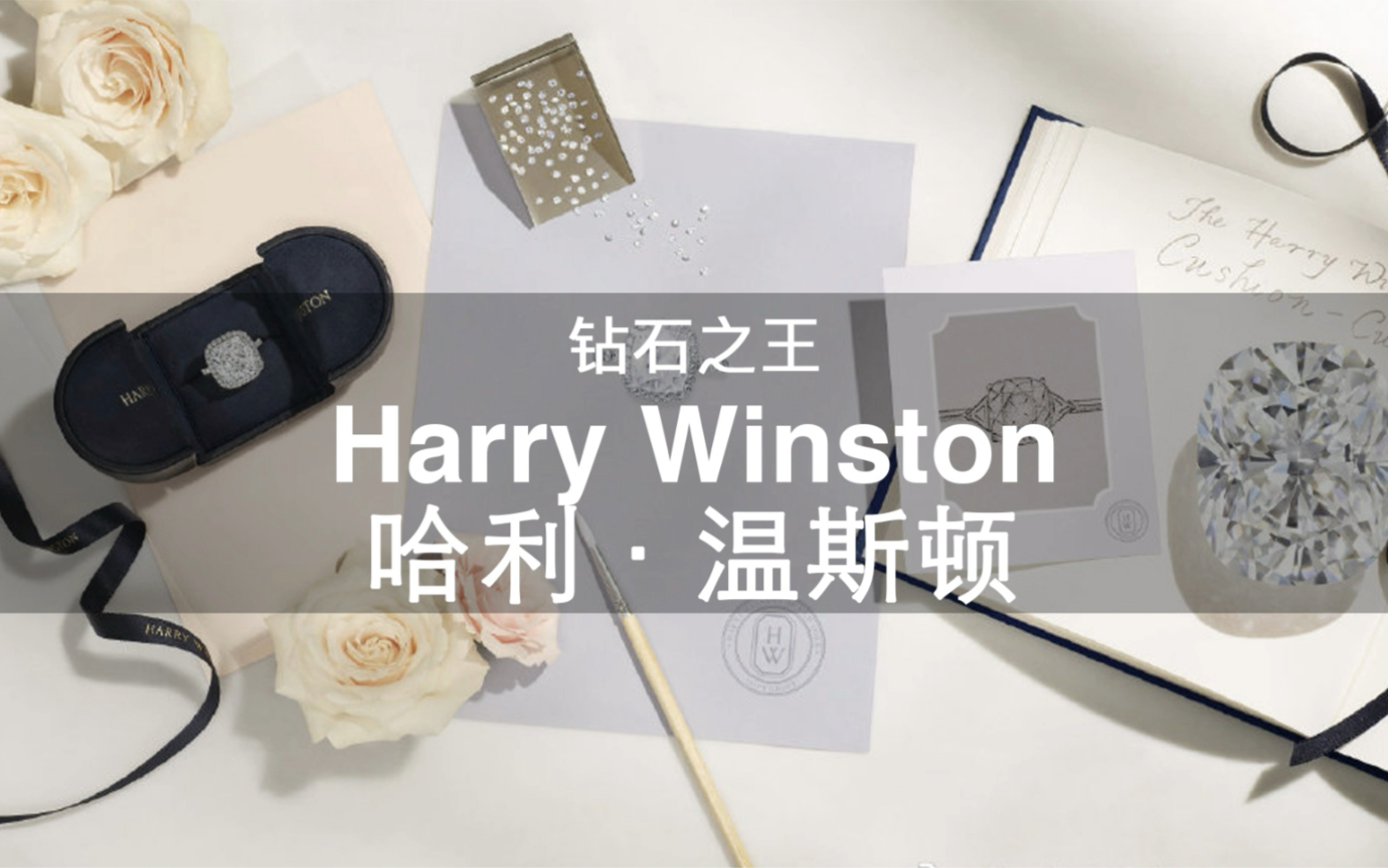 108个大牌科普 | 第30期 钻石之王 Harry Winston 哈利ⷦ𘩦–視🥓”哩哔哩bilibili