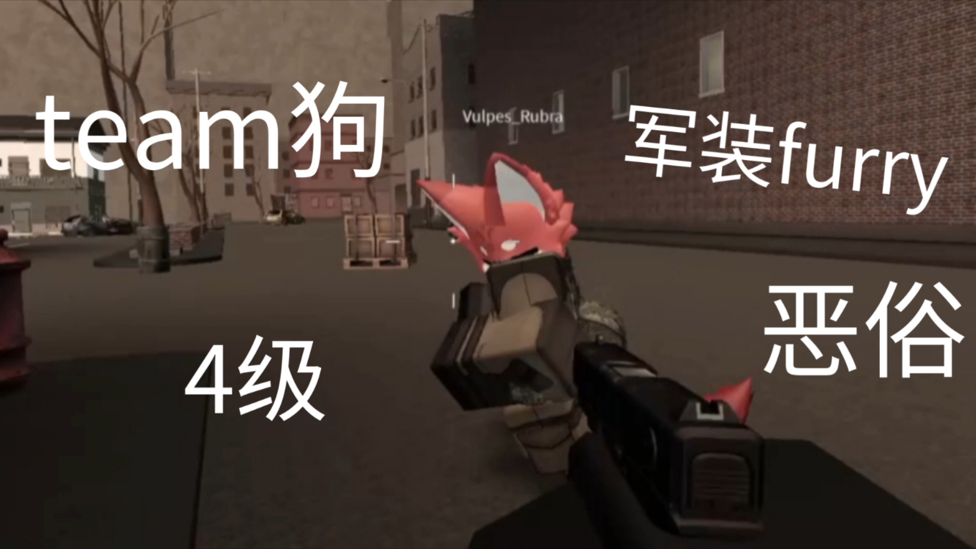 【criminality】制裁恶俗军装furry