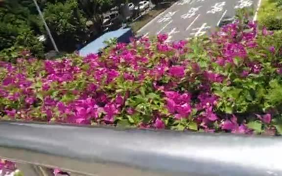 【前景分享】会计专业的就业前景是这样的哔哩哔哩bilibili