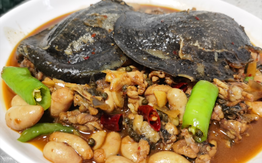 两只甲鱼,半斤鸡肾,小哥在家做了道麻辣口味的"甲鱼烧鸡肾"肉质鲜美