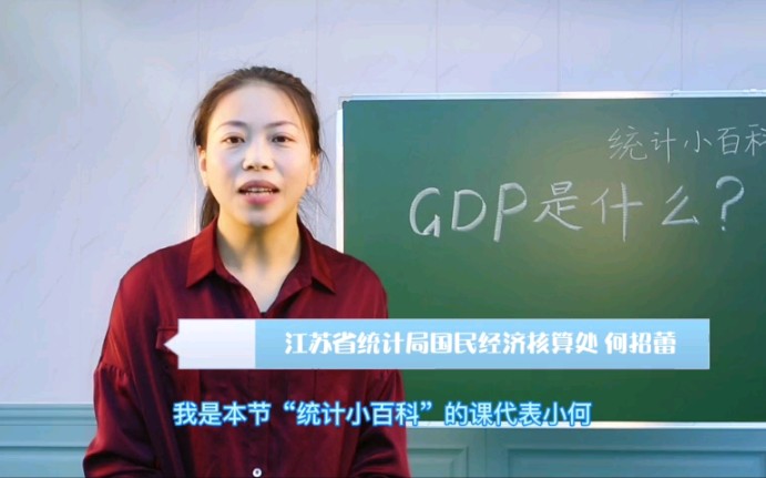 GDP是什么?哔哩哔哩bilibili