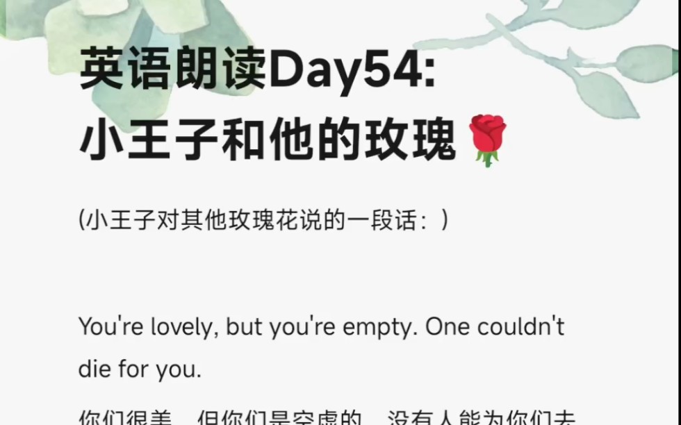 英语朗读打卡 Day54 小王子和他的玫瑰哔哩哔哩bilibili