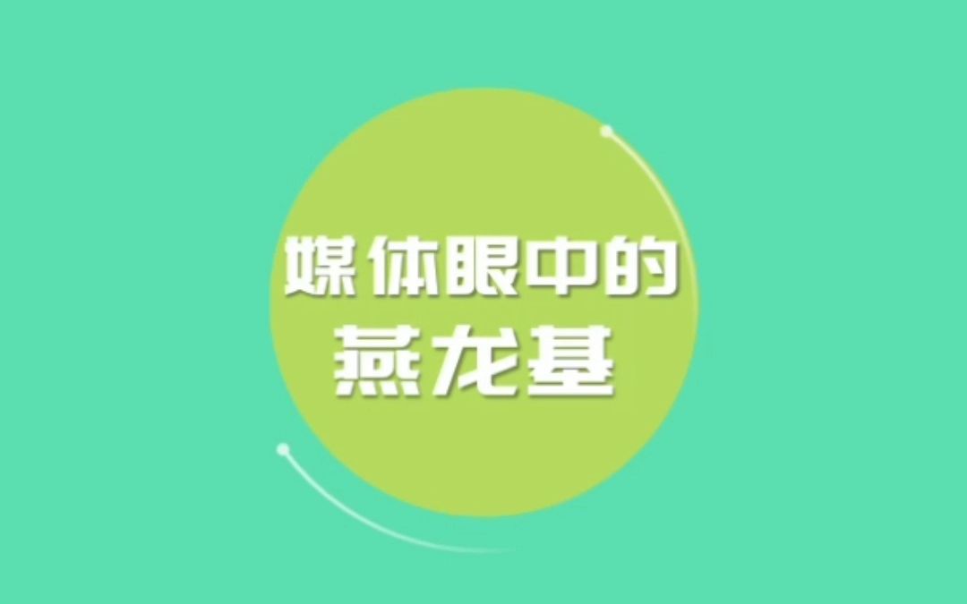 福建燕龙基:为泉港经济发展、绿色环保作出贡献!哔哩哔哩bilibili