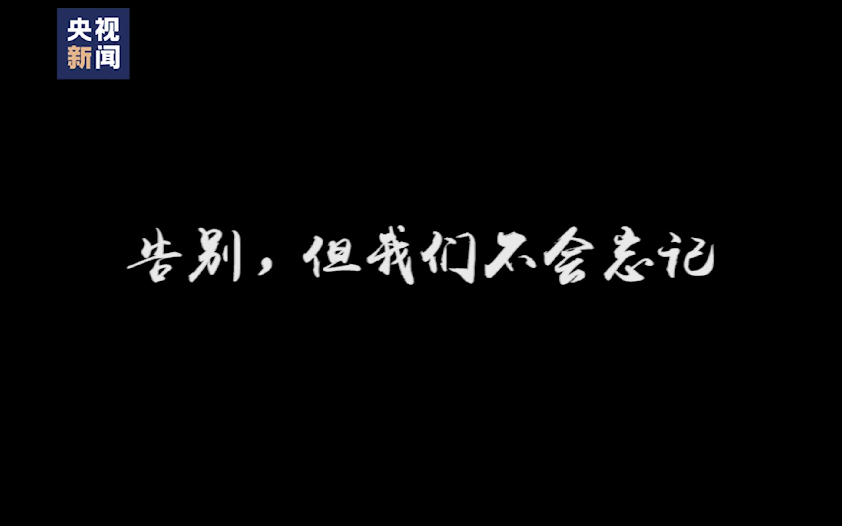 这个视频，只有一个画面