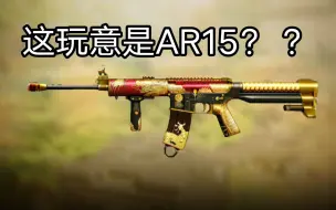 Tải video: 这玩意？AR15来了？？