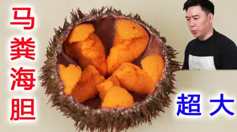 天照天天的动态-哔哩哔哩