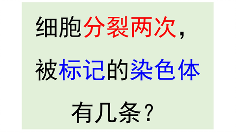 选修化学水溶液中离子平衡 电离平衡的建立及影响因素 哔哩哔哩 选修化学水溶液中离子平衡 电离平衡的建立及影响因素 哔哩哔哩