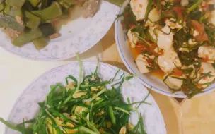 Video herunterladen: 【简单日常】野蒜炒鸡蛋   豆角炒肉  豆腐