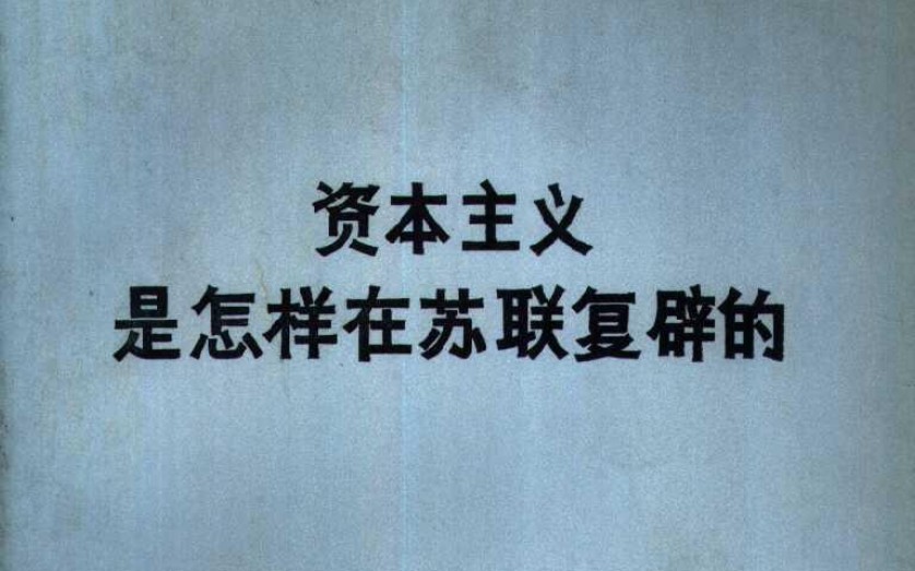 第三章 勃列日涅夫和柯西金统治下的苏联经济(十九)——综述:作为state capitalism经济的苏联经济哔哩哔哩bilibili