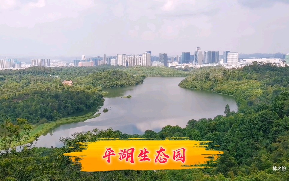 深圳平湖生态园图片图片
