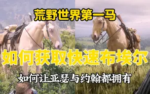 Download Video: 3分钟带你获取并喜欢上这匹后期必备的马儿布埃尔，一匹老兵的荷兰温血马，一匹可以碾压其他传说马的顶级马，【荒野大镖客2】