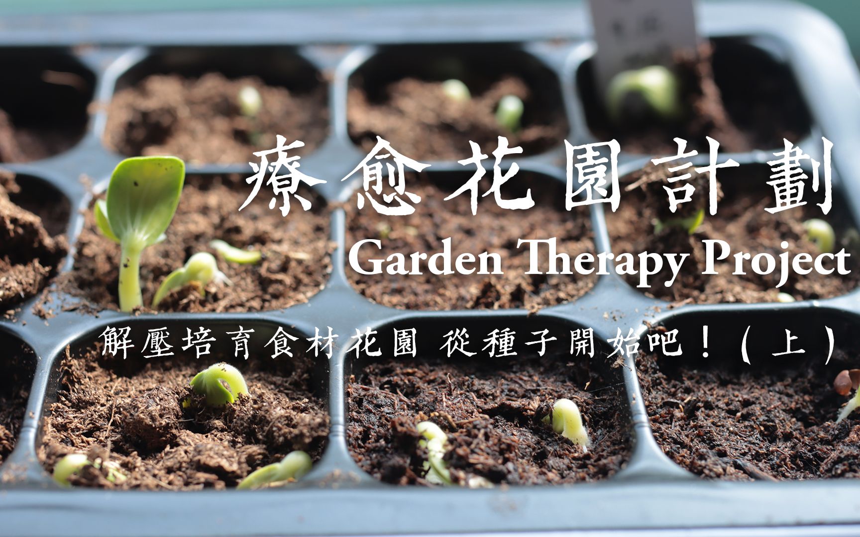 [图]疗愈花园计划 Garden Therapy Project | 解压培育食材花园 从种子开始吧！（上）