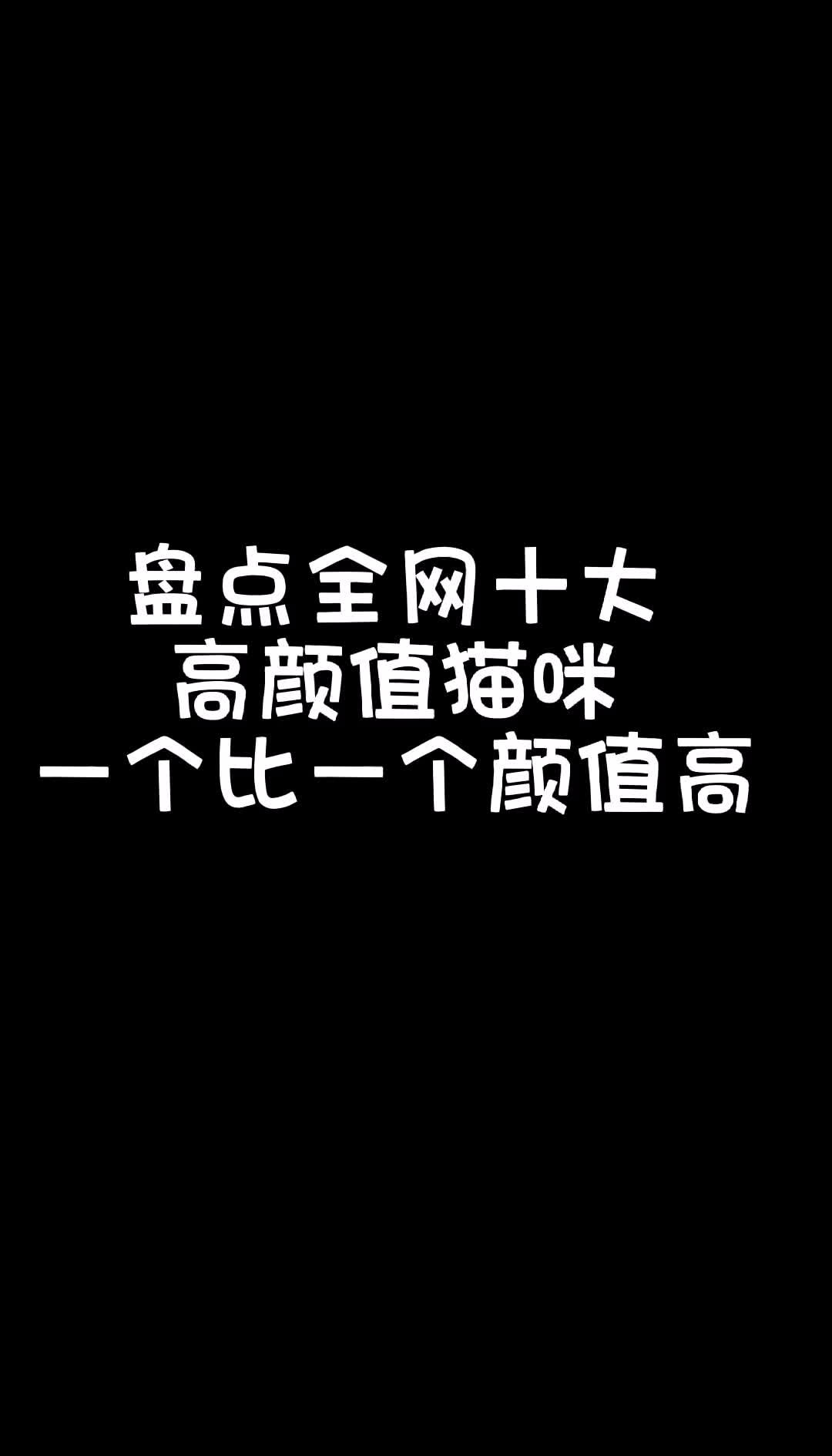 盘点全网十大高颜值猫咪一个比一个颜值高哔哩哔哩bilibili