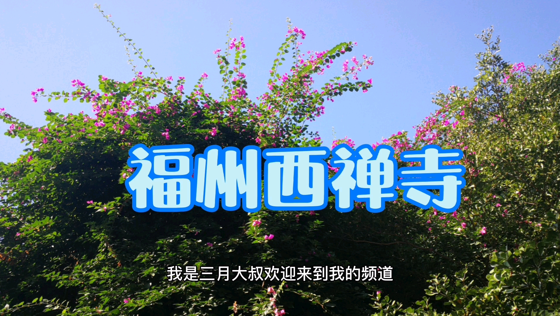 福州西禅寺哔哩哔哩bilibili