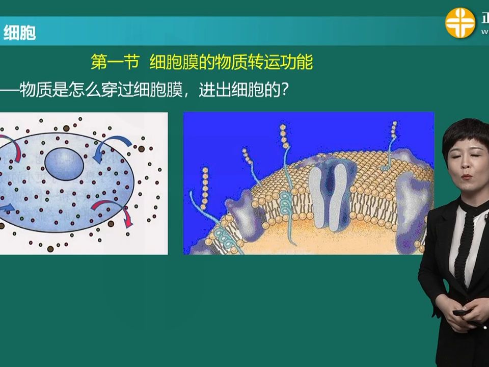 [图][0201]第二章 细 胞 第01讲细胞的基本功能