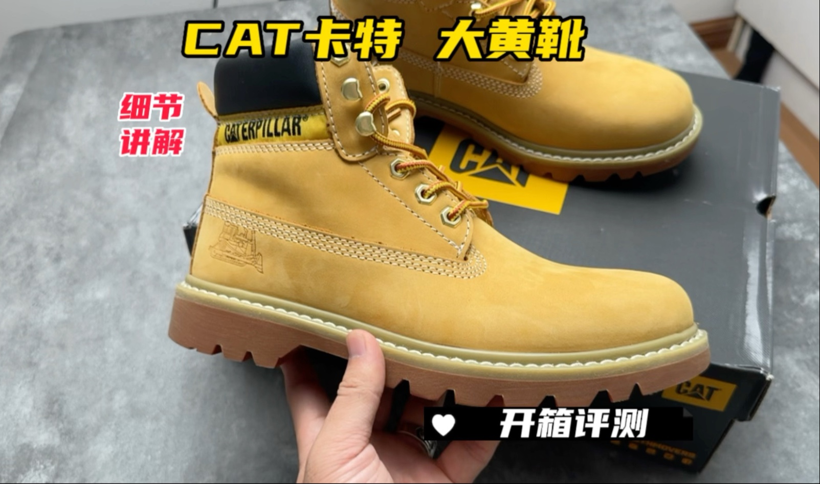 福建顶配卡特cat马丁靴开箱