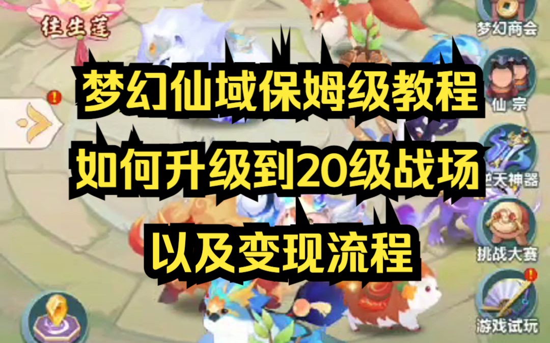 [图]梦幻仙域保姆级教程，如何升级到20级战场以及变现流程