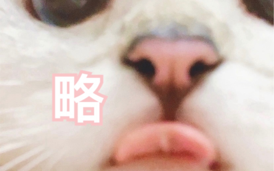 [图]【NALA】进来挨亲