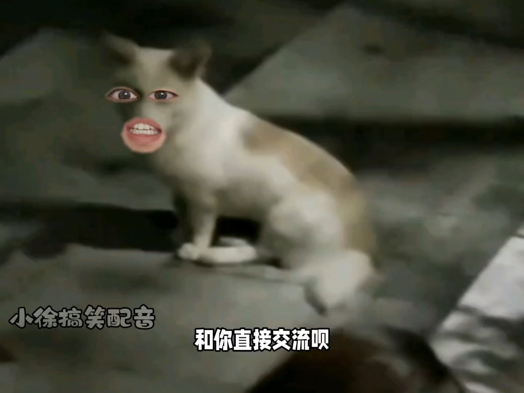 不是我冷暴力你,我是真不会说话啊!#搞笑配音#搞笑#配音