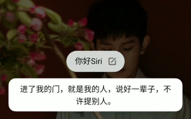 小布小布真的甜的不行 ,完全没有隔壁Siri凶哔哩哔哩bilibili