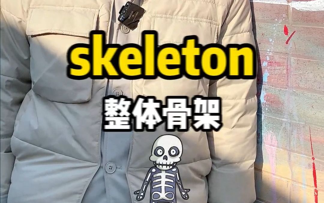 一秒钟记住一个单词—skeleton哔哩哔哩bilibili