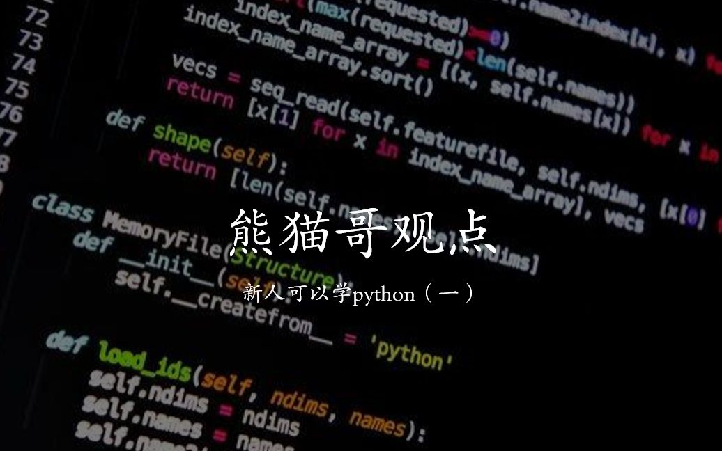 【熊猫哥观点】新人,中学生其实可以学python,只是有前提哔哩哔哩bilibili