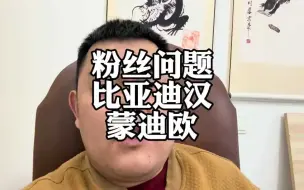 下载视频: 车企降价的当下，蒙迪欧和比亚迪汉，怎么选