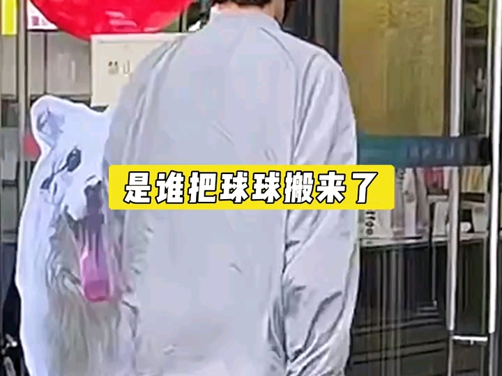 到底是谁把球球搬来了！