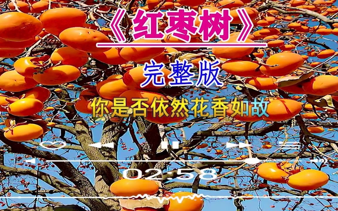 任妙音经典歌曲《红枣树》甜蜜醉人,淡淡的伤感,最近大家都在听_哔哩