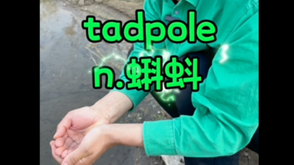 tadpole【蝌蚪】套破了,蝌蚪跑出来了sunset【日落】太阳重置哔哩哔哩bilibili