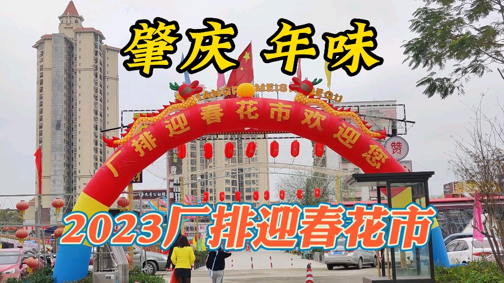 实拍:肇庆厂排迎春花市,新年行花街发大财,2023过年氛围十足哔哩哔哩bilibili