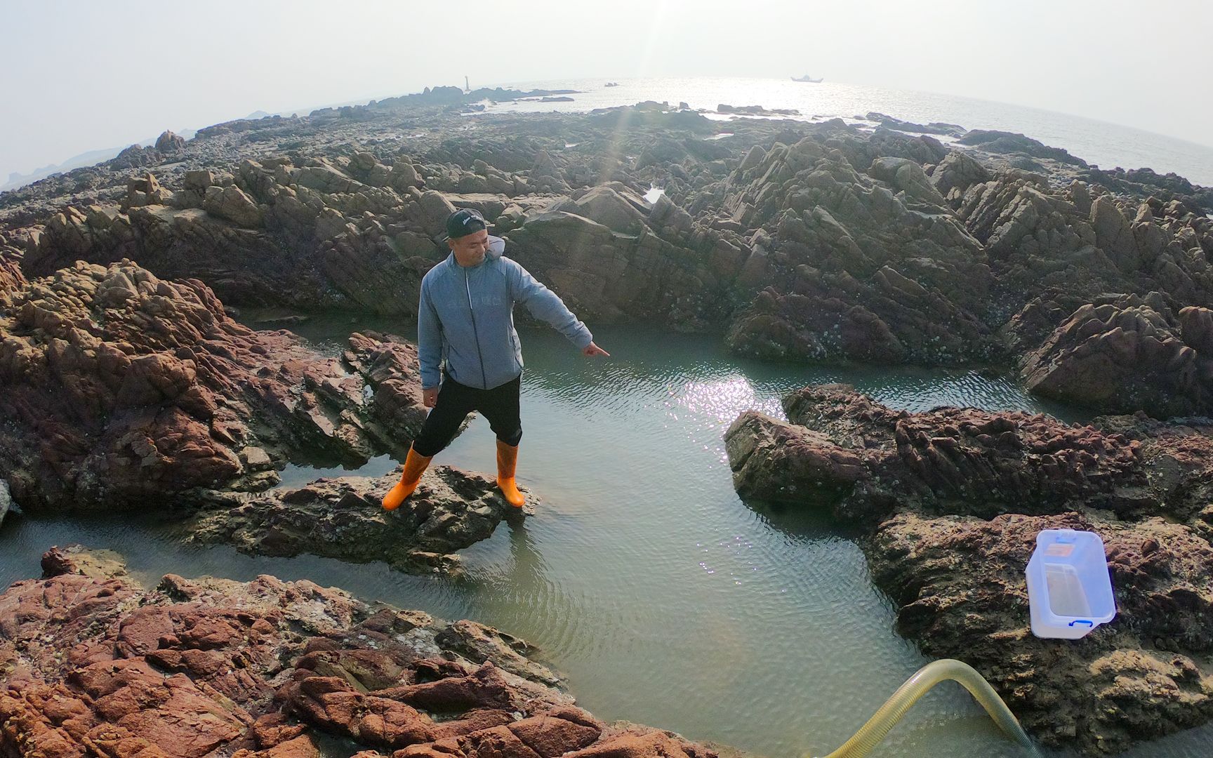 大熊顶着大风冷空气冷的发抖去赶海抽水坑,遇到鱼群,直呼赚了