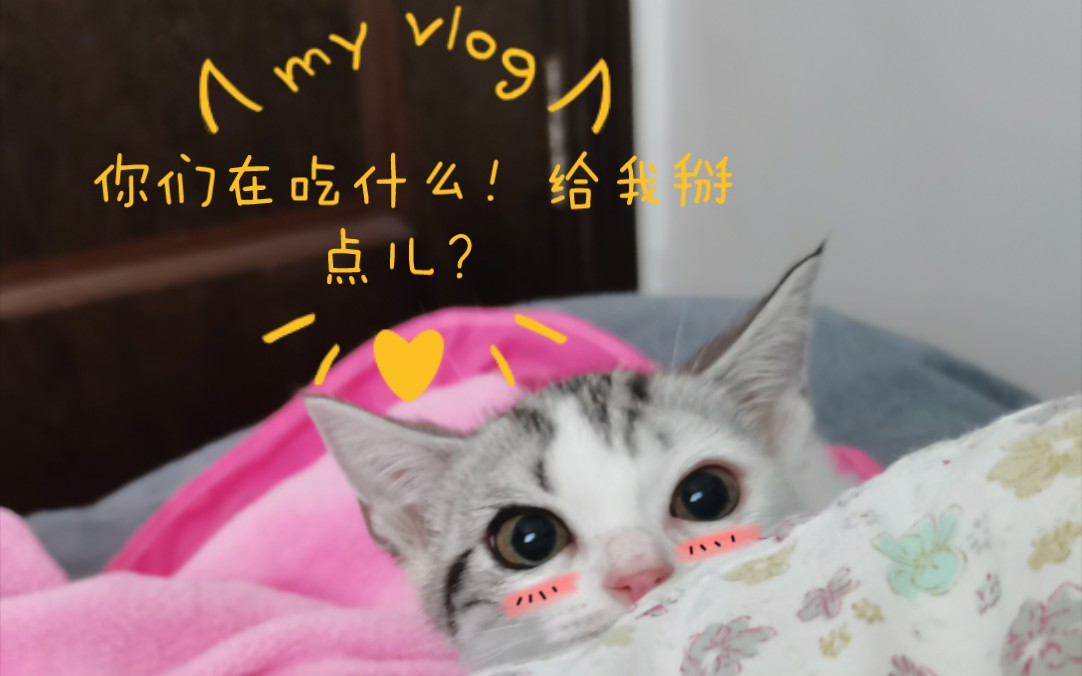 你们在吃什么?给我掰点儿?