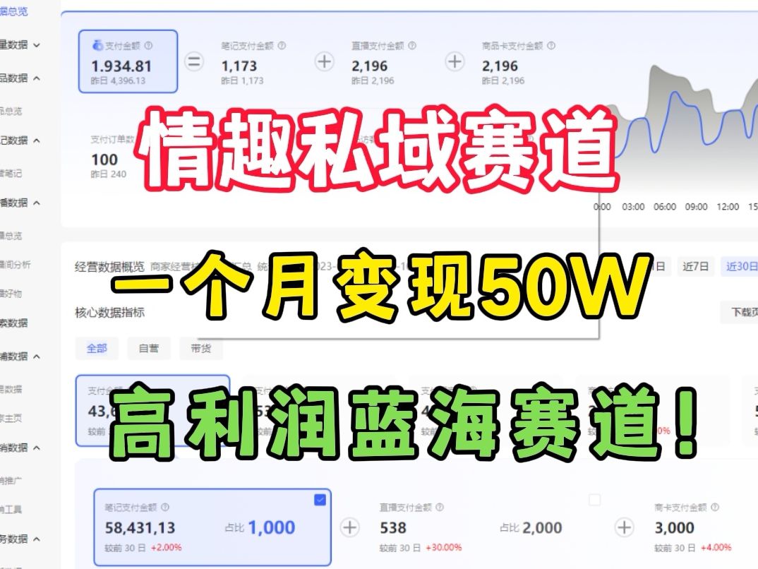 【情趣私域引流】多账号月入50万,小红书高利润蓝海领域实战全流程演示项目拆解哔哩哔哩bilibili