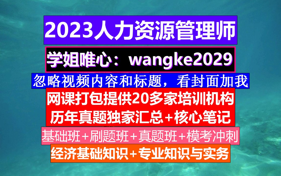 上岸必备人力资源管理师考证.人力资源管理报考条件,人力资源管理考证哔哩哔哩bilibili