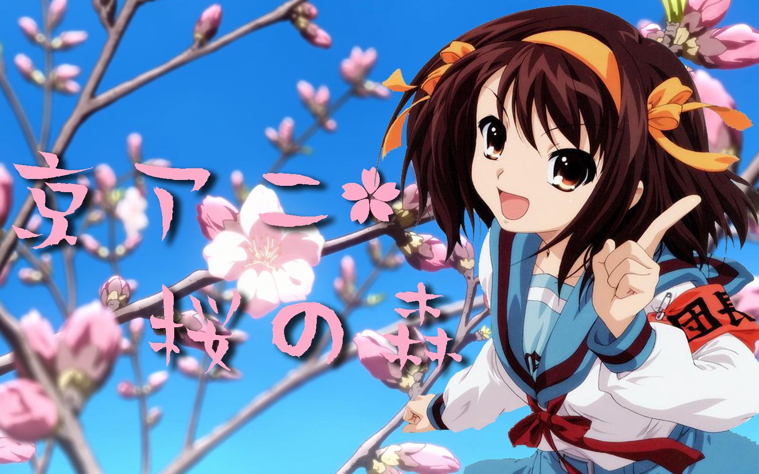 【京阿尼/amv】桜の森