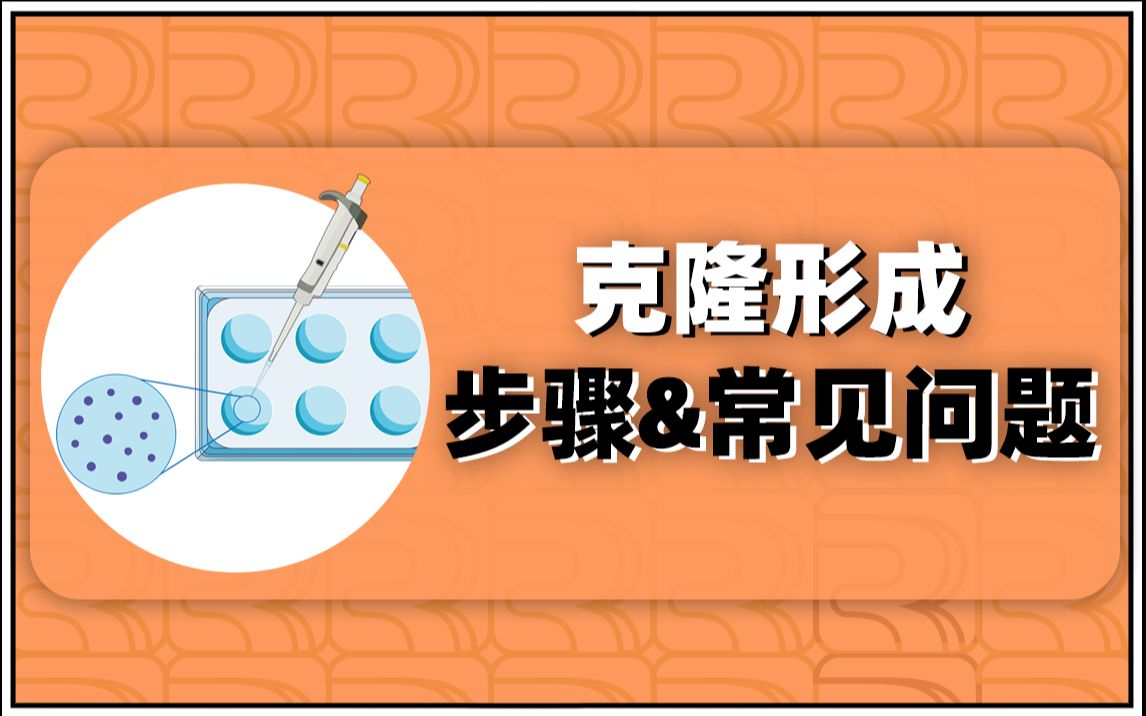 细胞功能实验合集(7):克隆形成实验 实验步骤及常见问题哔哩哔哩bilibili