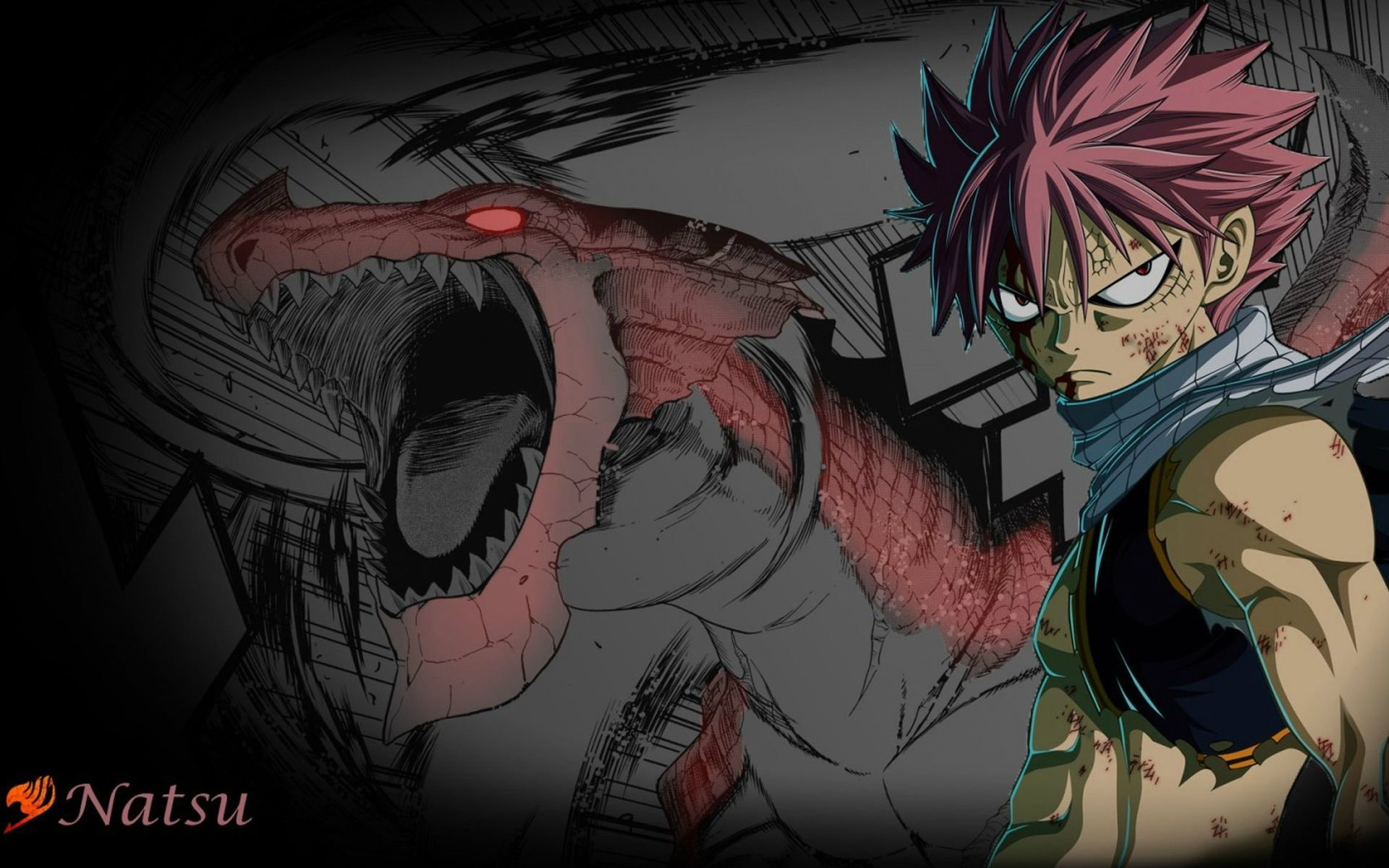 次元火光一闪!神龍闪耀之时!