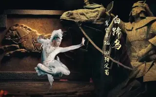 神马奇妙夜 搜索结果 哔哩哔哩 Bilibili