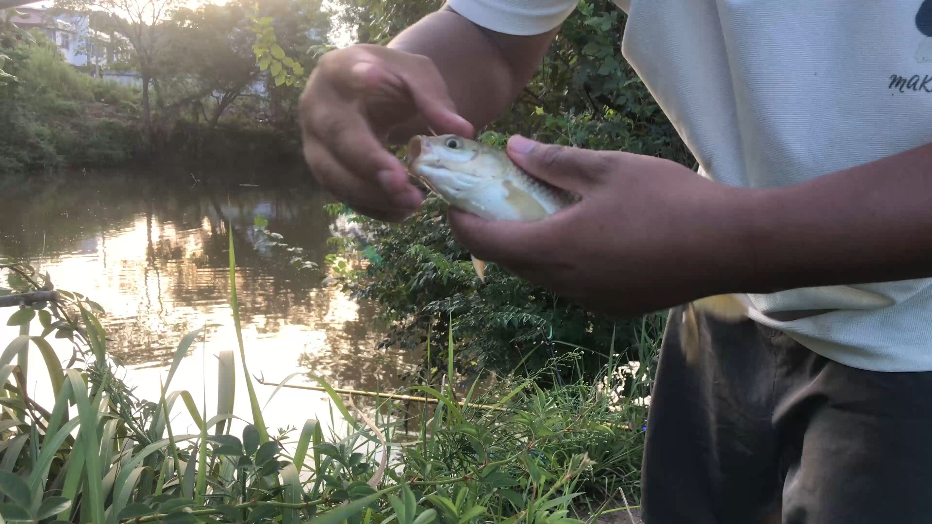 野河钓鱼图片