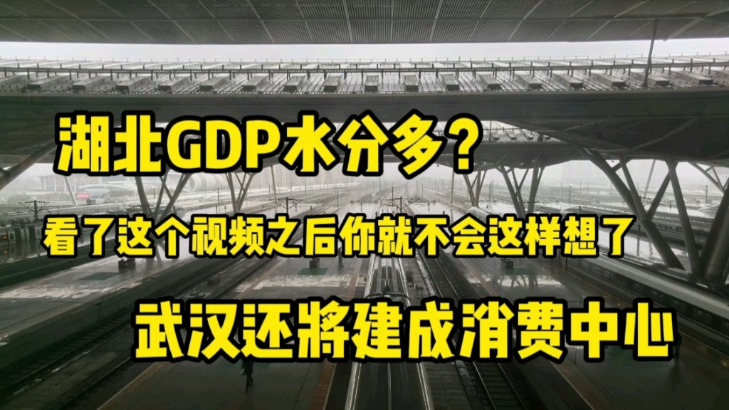 湖北GDP水分多?看完之后你就不会这样想了.武汉将成为消费中心哔哩哔哩bilibili