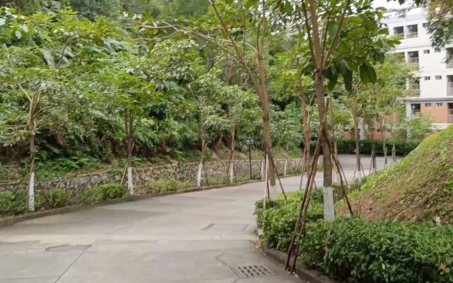 阳江广雅中学行记